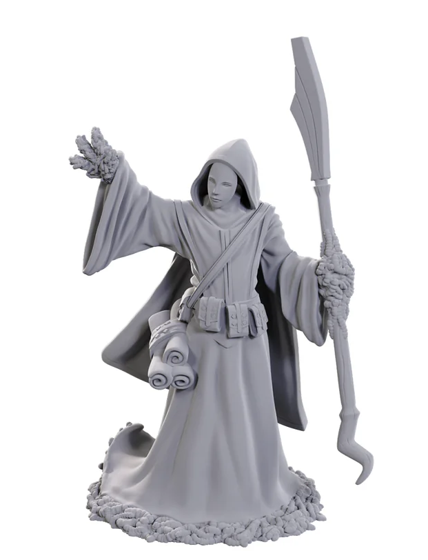 D&D Nolzur's Marvelous Miniatures: Star Spawn Larva Mage
