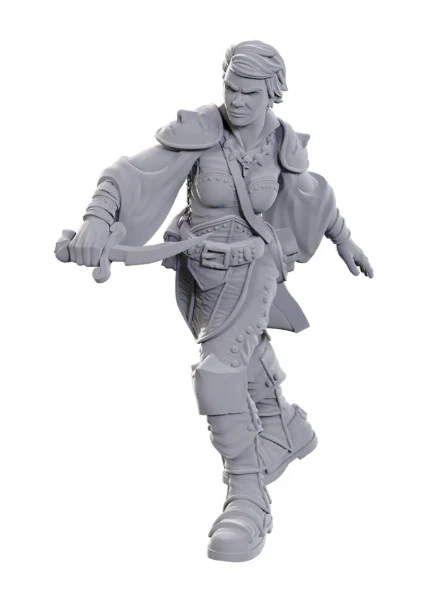 D&D Nolzur's Marvelous Miniatures: Swashbuckler