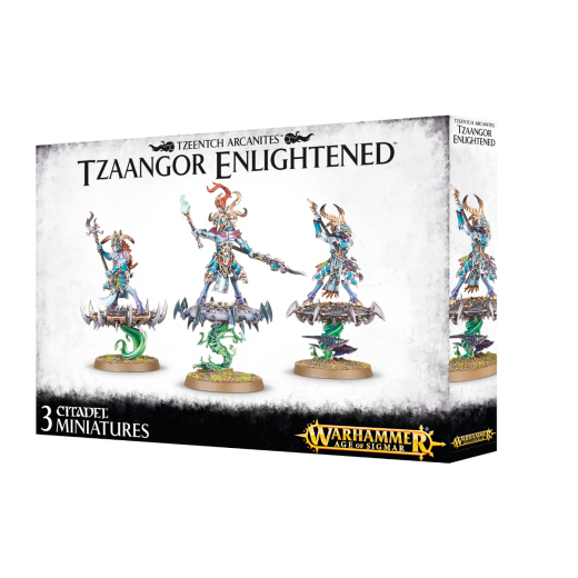 Warhammer AoS Tzaangor Enlightened
